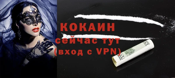 гидра Няндома
