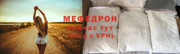 гидра Няндома