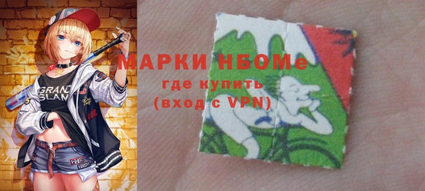 гидра Няндома