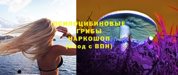 дживик Билибино