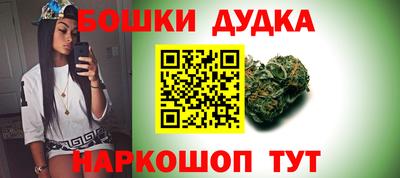 Альфа ПВП Гатчина