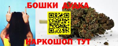 Альфа ПВП Гатчина