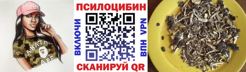 Псилоцибиновые грибы Psilocybine cubensis  Калач-на-Дону 